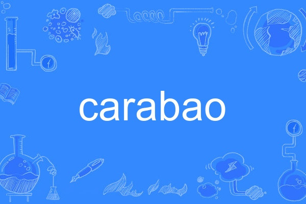 carabao carabao