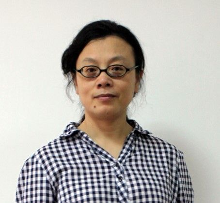 嚴豐(四川大學經濟學院副教授) 嚴豐(四川大學經濟學院副教授)