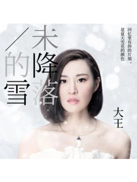 未降落的雪 未降落的雪