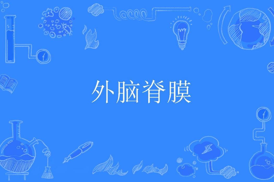 外腦脊膜