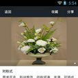 中國花道 中國花道