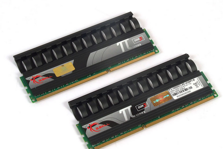 芝奇4GB DDR2 800 芝奇4GB DDR2 800