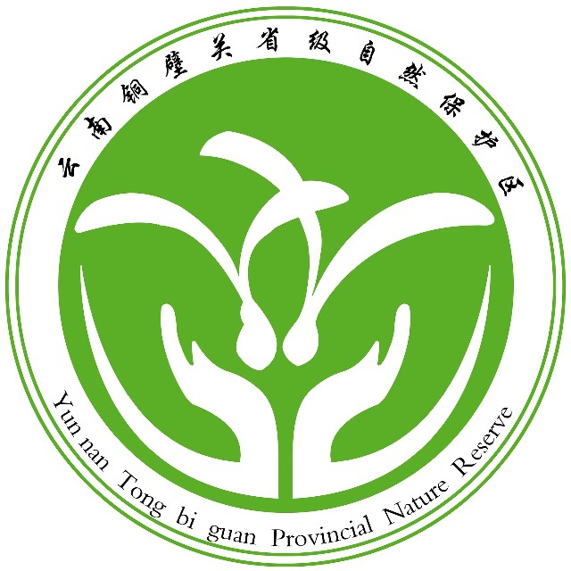 雲南銅壁關省級自然保護區