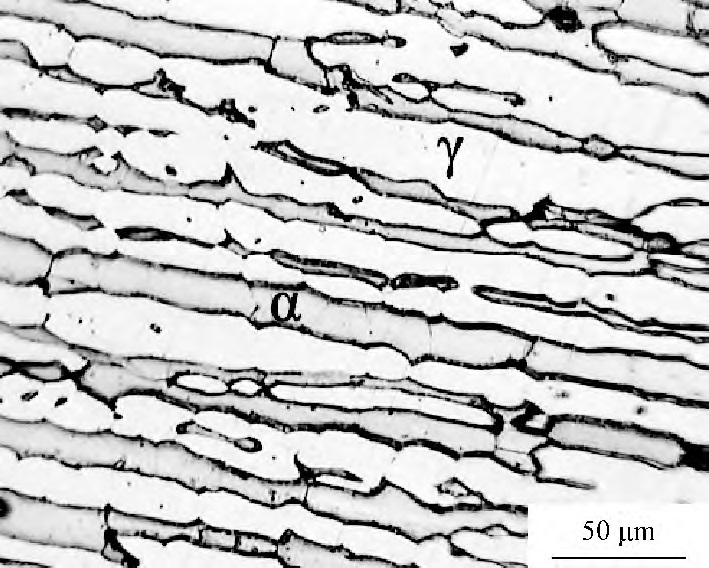 典型2507雙相不鏽鋼顯微組織