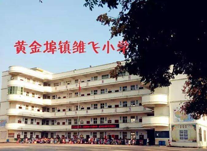 雛飛國小 雛飛國小