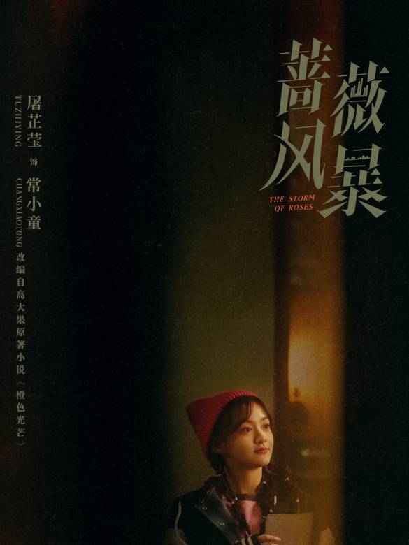 薔薇風暴(2024年惠楷棟執導的職場劇)