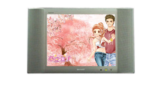 夏普LCD 1428T 夏普LCD 1428T