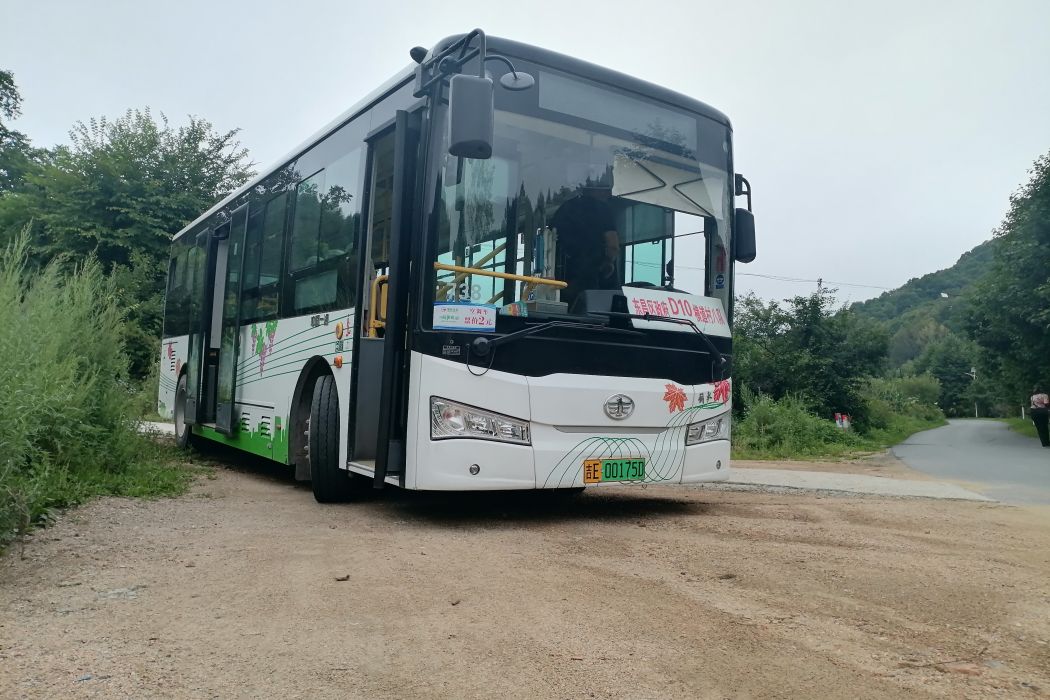 通化公交D10路 通化公交D10路