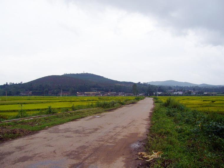 羅旗屯村 羅旗屯村