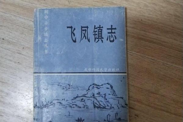 飛鳳鎮志 飛鳳鎮志