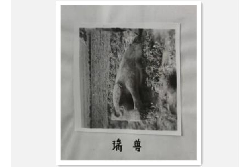 瑞獸(河南省方城縣被盜文物)