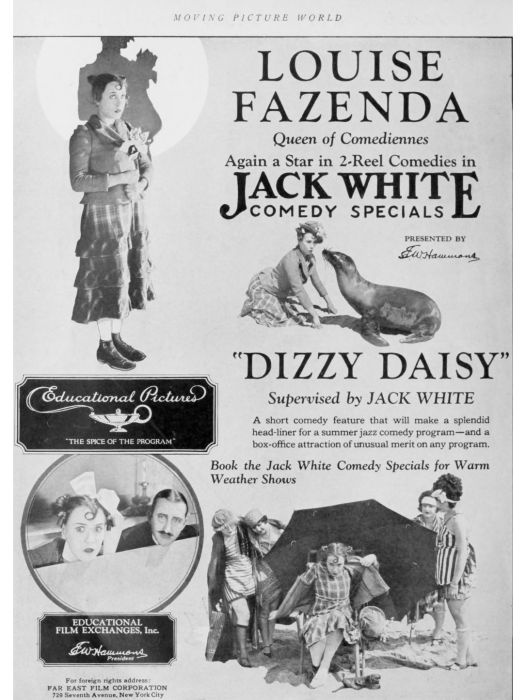 Dizzy Daisy Dizzy Daisy