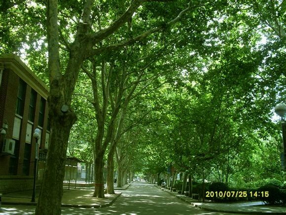 天使之路(鳥類棲居地) 天使之路(鳥類棲居地)