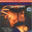 藍莓之夜(DVD)