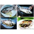 鯽魚子(中藥材) 鯽魚子(中藥材)