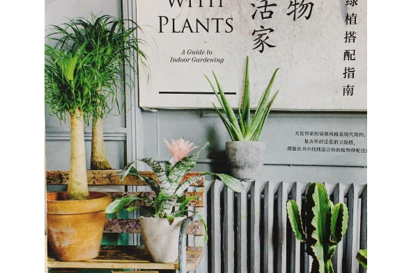 植物生活家 植物生活家