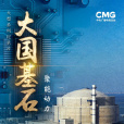 大國基石(2023年崔娟執導的紀錄片)