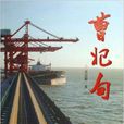 曹妃甸(書籍《曹妃甸》)