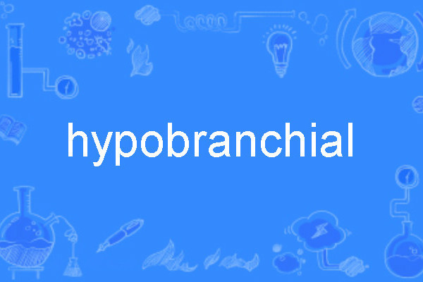 hypobranchial hypobranchial