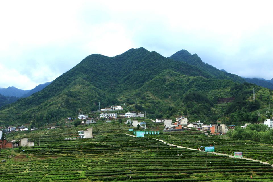 蒿坪村(甘肅省隴南市武都區馬街鎮下轄村) 蒿坪村(甘肅省隴南市武都區馬街鎮下轄村)
