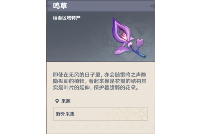 鳴草 鳴草