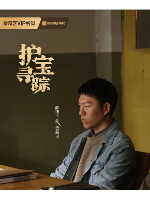 小賈(電視劇《護寶尋蹤》中的角色) 小賈(電視劇《護寶尋蹤》中的角色)
