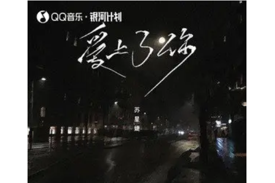 愛上了你(蘇星婕演唱的歌曲) 愛上了你(蘇星婕演唱的歌曲)