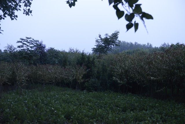 鐵架嶺遺址 鐵架嶺遺址