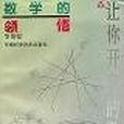 數學的領悟