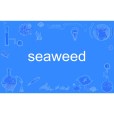 seaweed seaweed