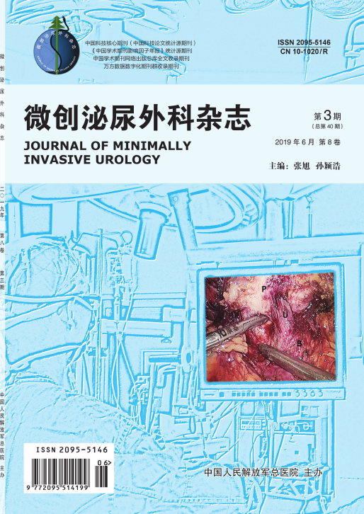 微創泌尿外科雜誌