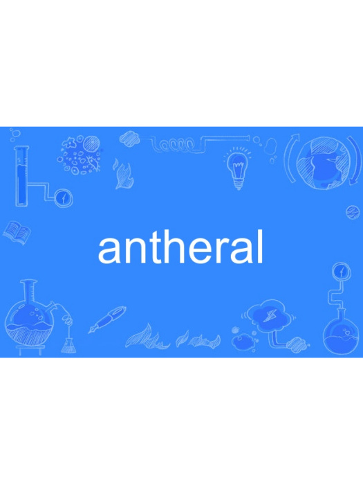 antheral antheral
