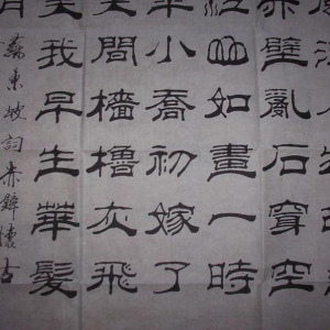 王壽善 王壽善