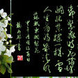 東欄梨花 東欄梨花