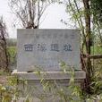 西溪遺址 西溪遺址