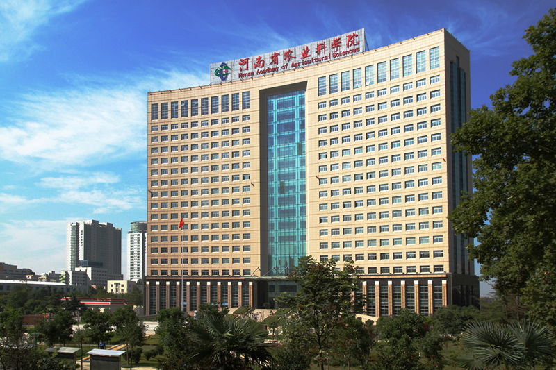 河南省農業科學院小麥研究中心