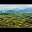 麗岙 麗岙