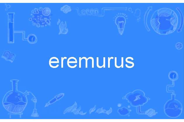 eremurus eremurus