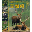 麋鹿苑(2010年電子工業出版社出版圖書) 麋鹿苑(2010年電子工業出版社出版圖書)