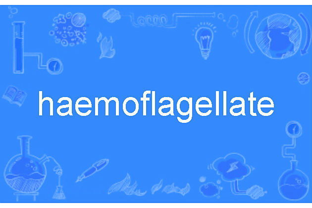 haemoflagellate haemoflagellate