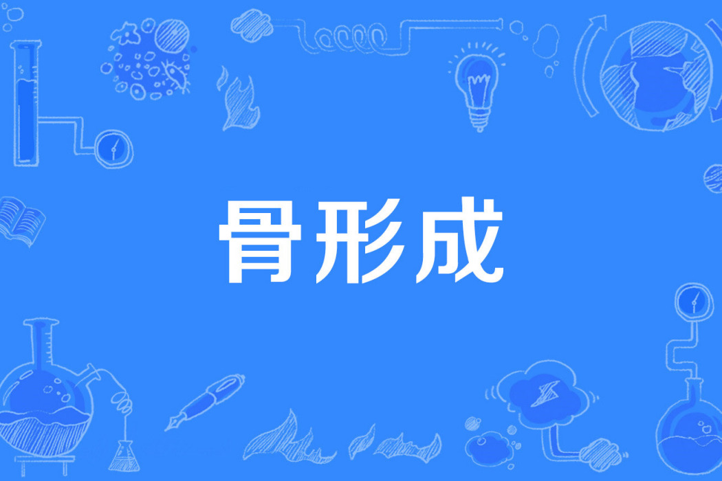 骨形成 骨形成
