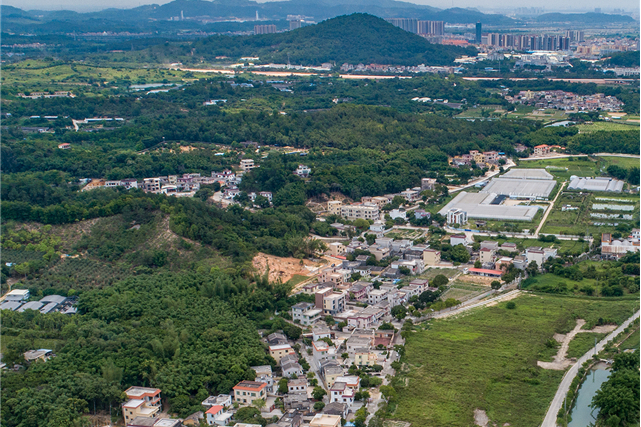 大塘村(廣東省中山市南朗街道下轄村) 大塘村(廣東省中山市南朗街道下轄村)