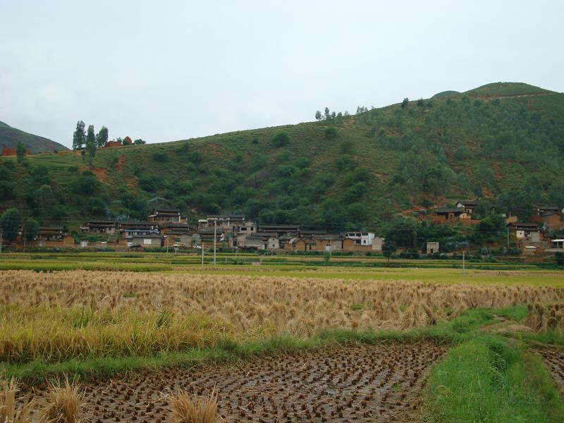 華竹村 華竹村