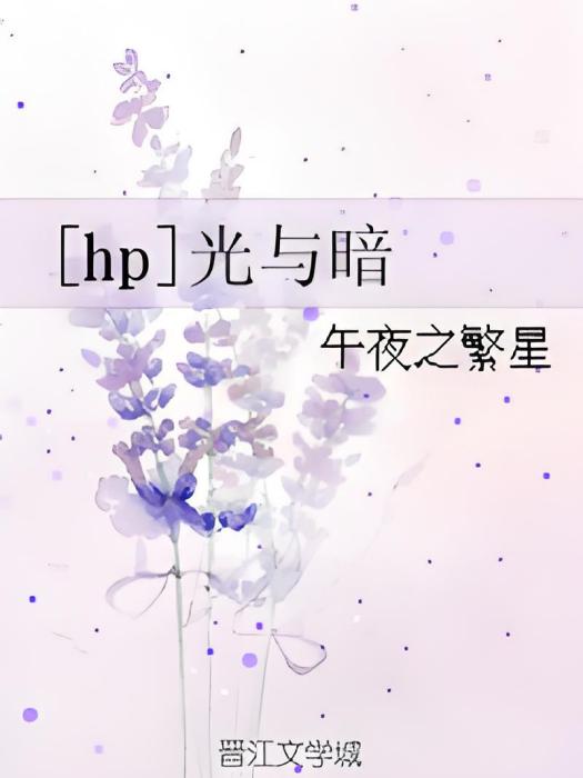 [hp]光與暗