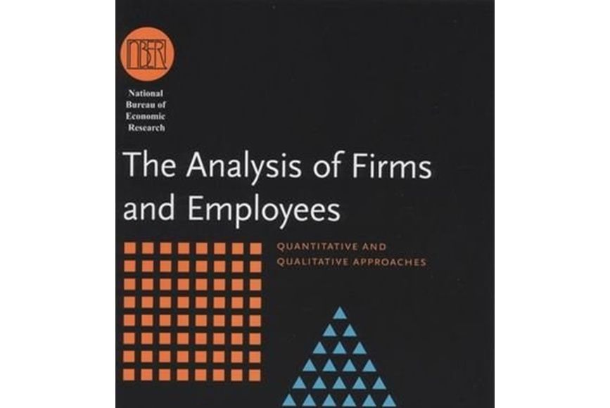 The Analysis of Firms and Employees The Analysis of Firms and Employees