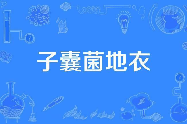 子囊菌地衣 子囊菌地衣