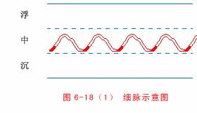 細脈 細脈