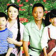 新外來妹 新外來妹