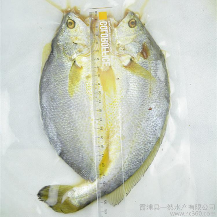 鹹香大黃魚