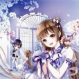 龍貓少女 龍貓少女